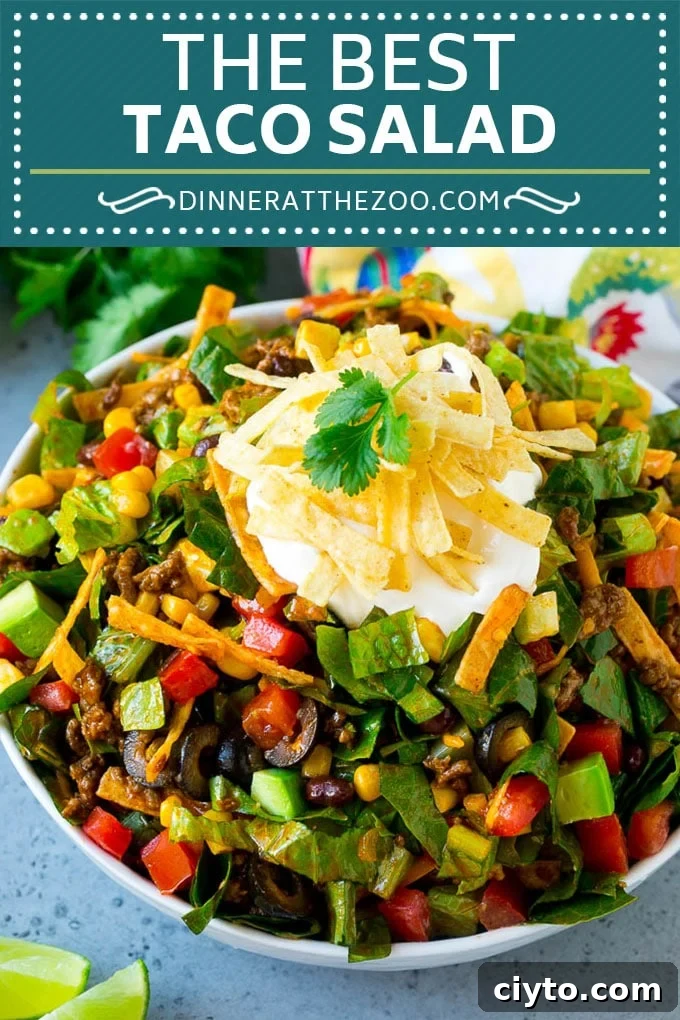 Taco Salad Recipe | Beef Taco Salad | Mexican Salad #salad #taco #beef #lunch #avocado #dinner