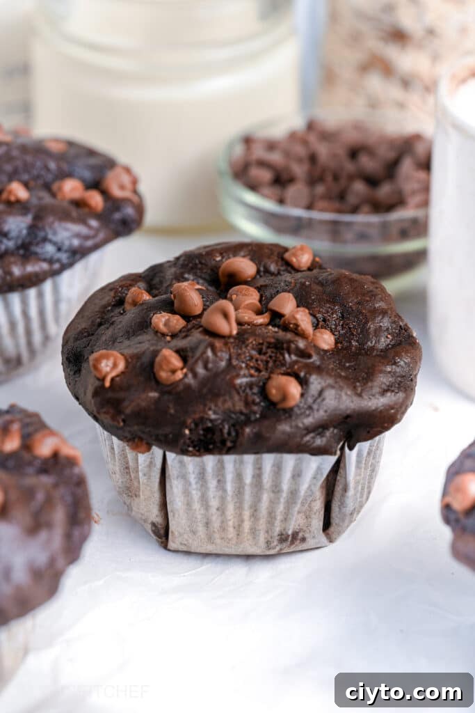Flourless Chocolate Muffins