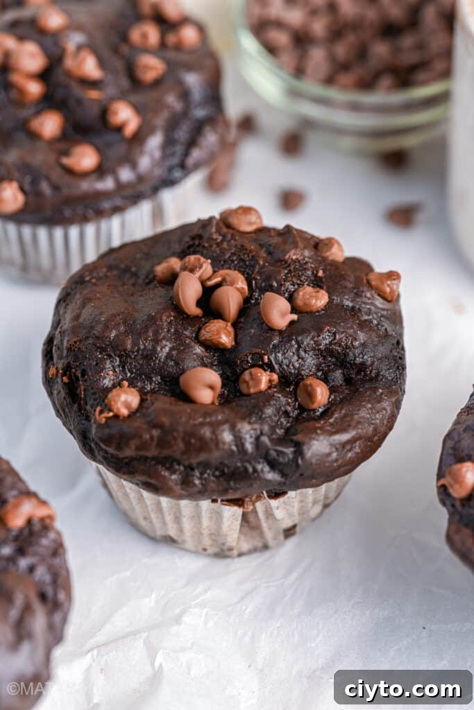 Flourless Muffins