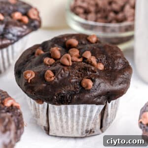 Flourless Chocolate Muffins