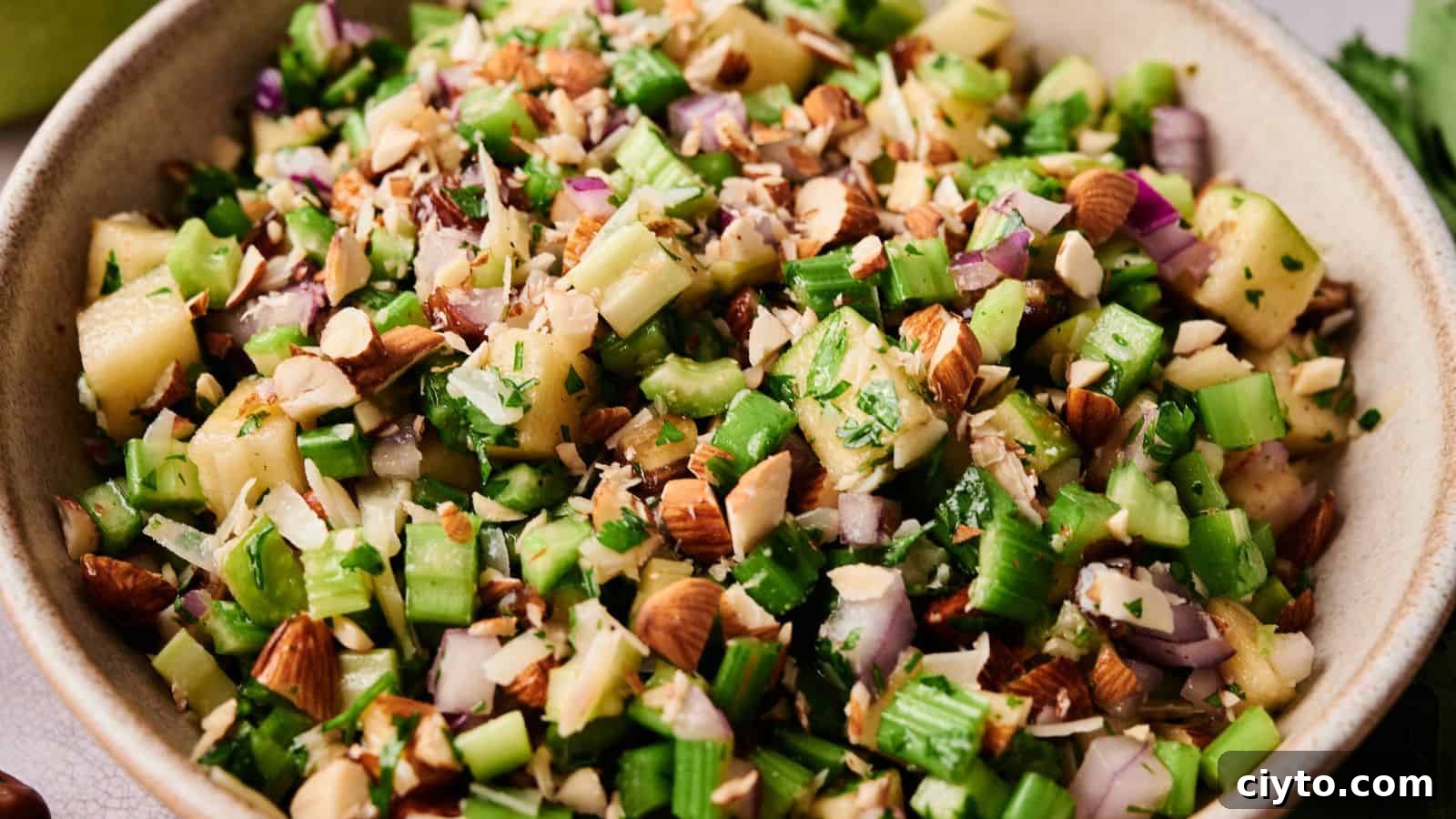 A bowl filled with chopped celery, red onion, apples, almonds, and fresh herbs.