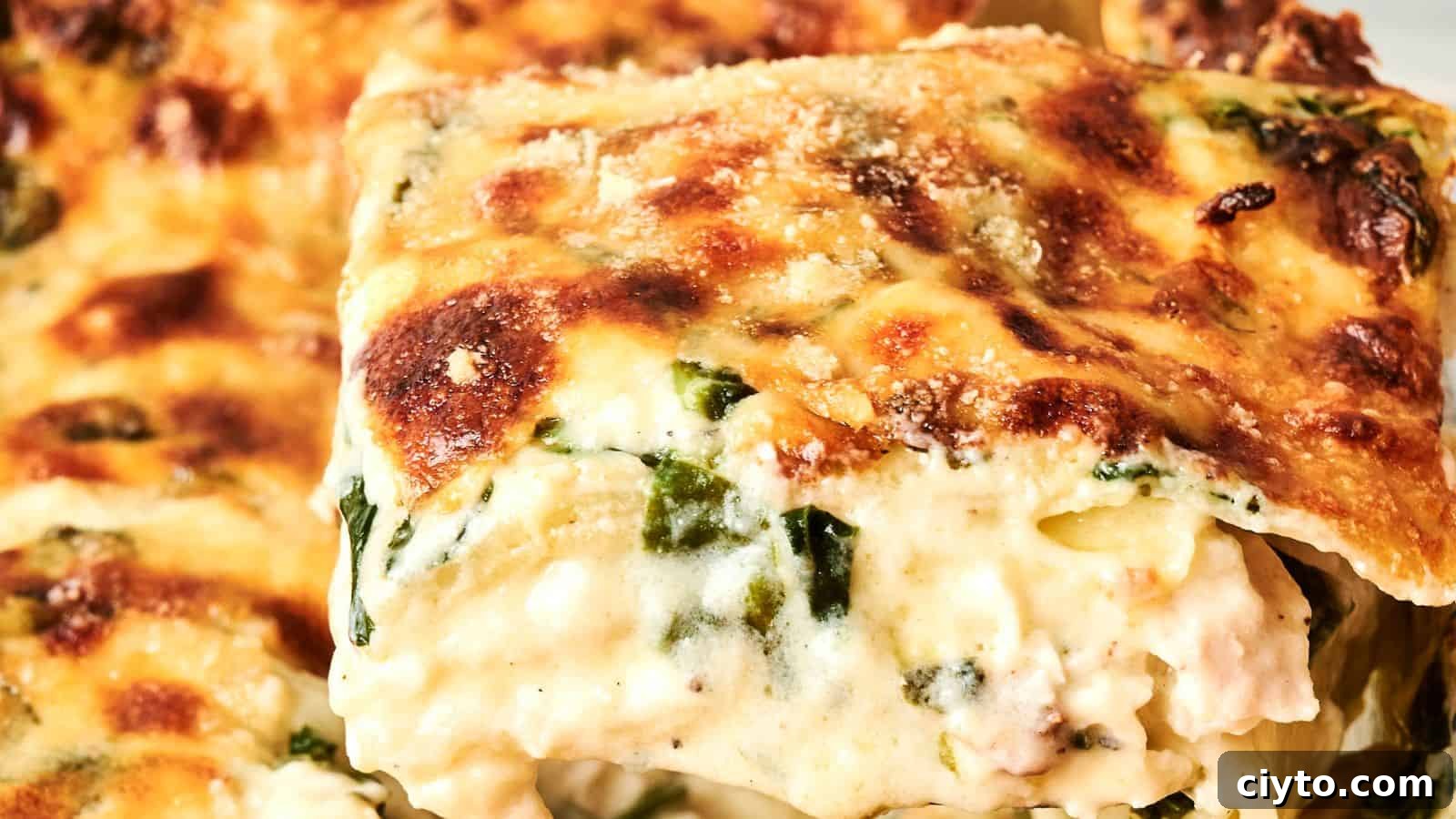 Close-up of a slice of creamy lasagna with browned cheese on top and visible layers of pasta, spinach, and sauce.