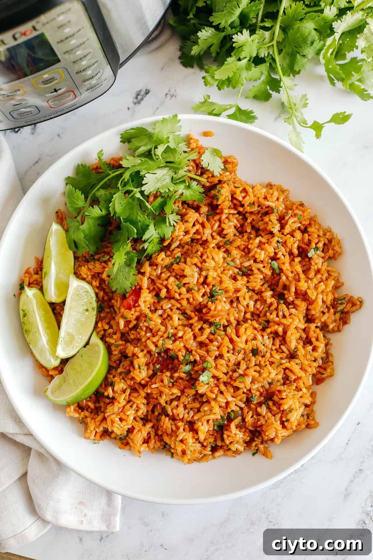 Super flavorful Mexican Brown Rice easily made right in your Instant Pot along with your favorite salsa for the perfect side dish that comes out perfectly fluffy and delicious every single time!