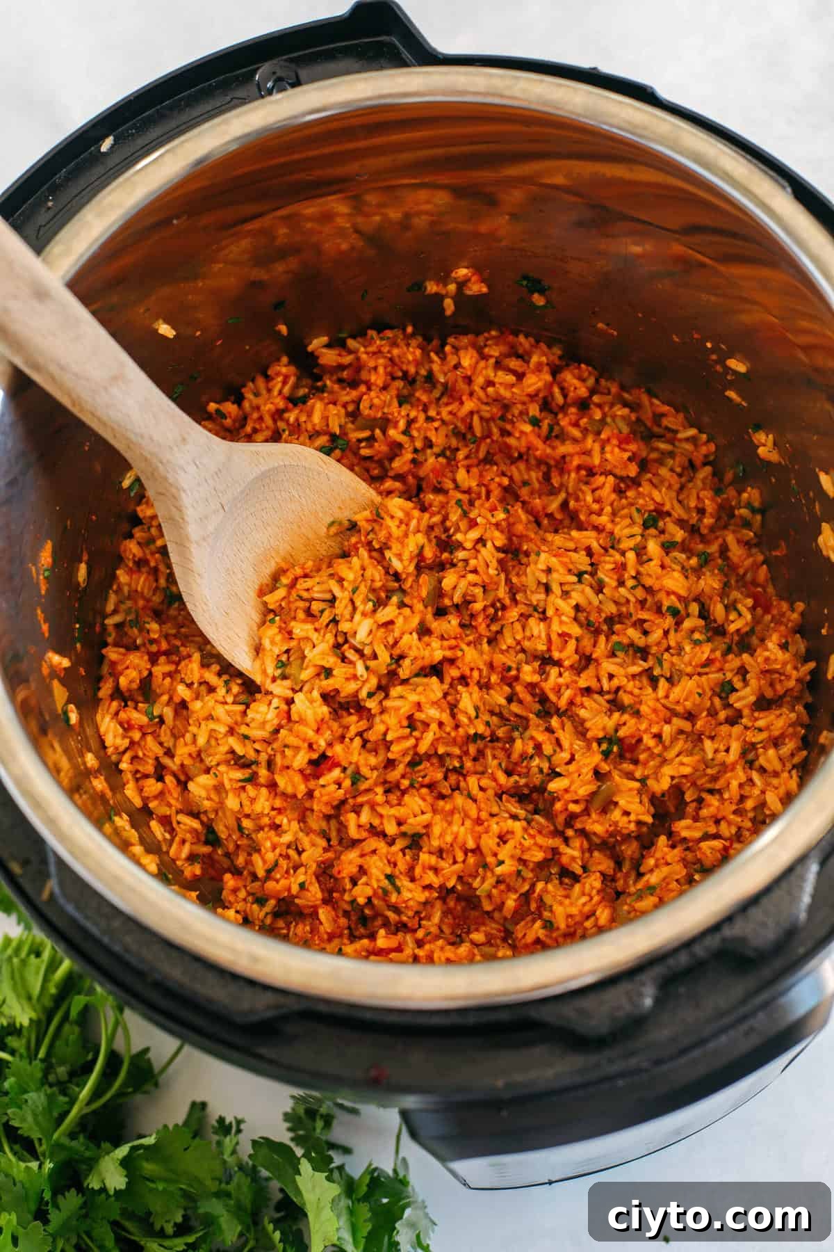 Super flavorful Mexican Brown Rice easily made right in your Instant Pot along with your favorite salsa for the perfect side dish that comes out perfectly fluffy and delicious every single time!