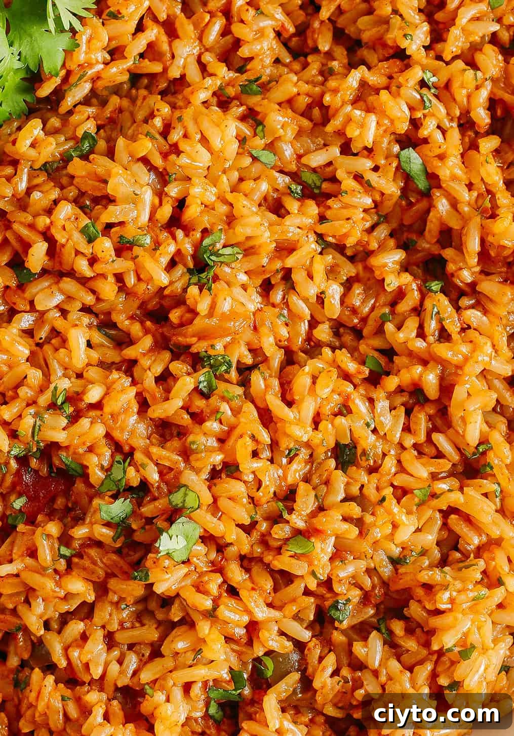 Super flavorful Mexican Brown Rice easily made right in your Instant Pot along with your favorite salsa for the perfect side dish that comes out perfectly fluffy and delicious every single time!