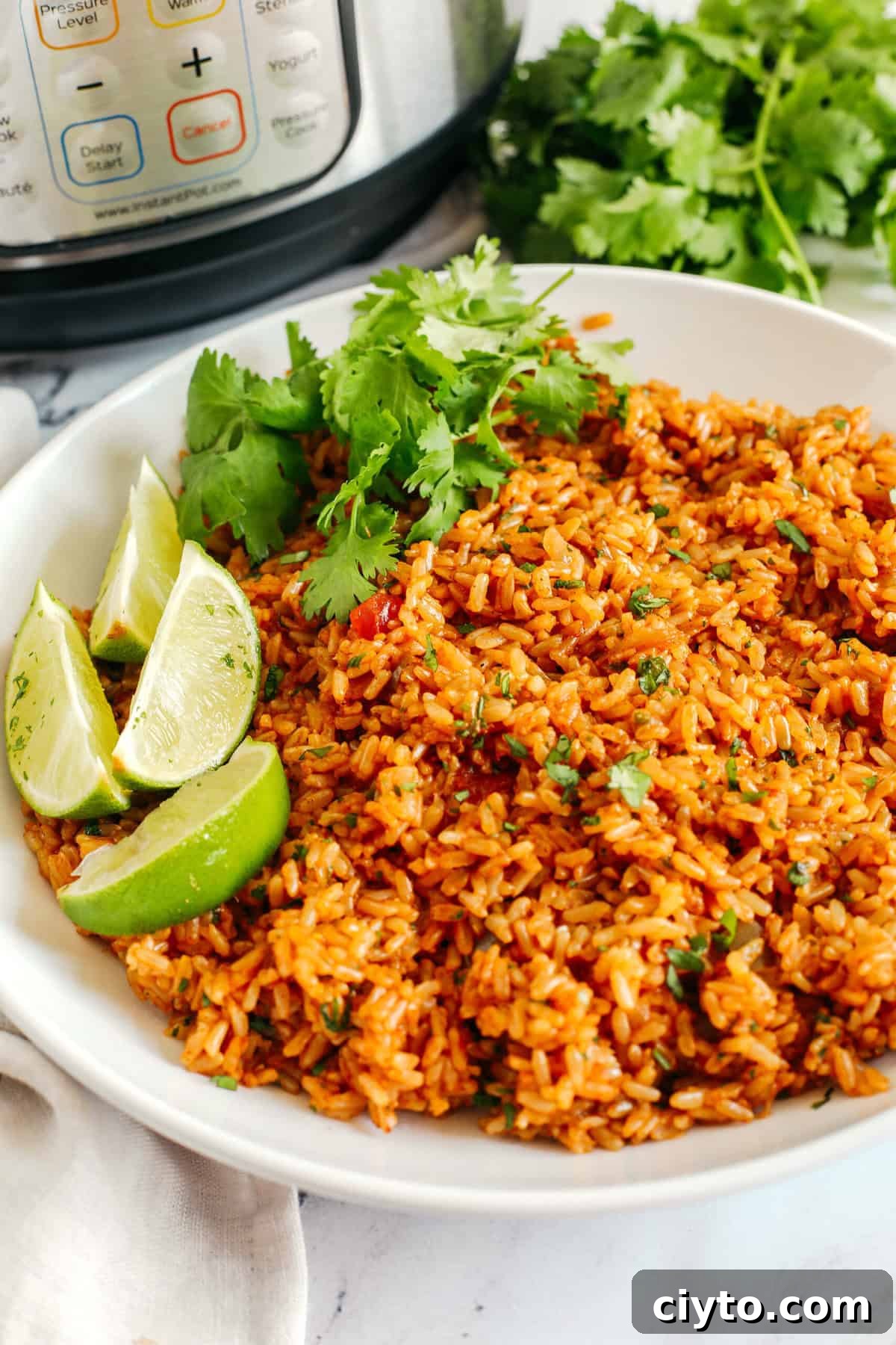 Super flavorful Mexican Brown Rice easily made right in your Instant Pot along with your favorite salsa for the perfect side dish that comes out perfectly fluffy and delicious every single time!