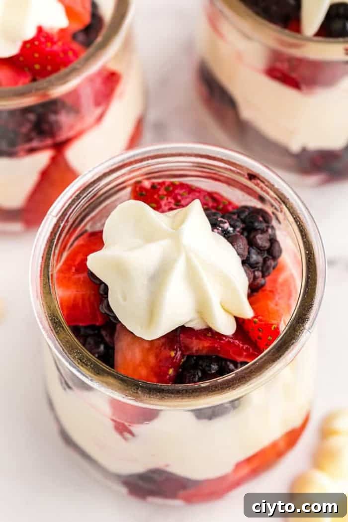 Low-Carb Peanut Butter Crunch Bars, Gluten Free, No Added Sugar 16 overhead zoomed in view of keto mousse in a small glass jar with berries