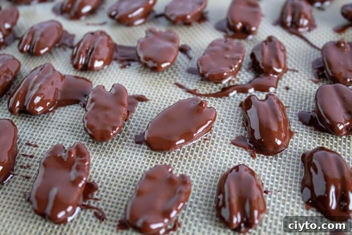 Low-Carb Peanut Butter Crunch Bars, Gluten Free, No Added Sugar 8 closeup of chocolate covered pecans with several broken in half