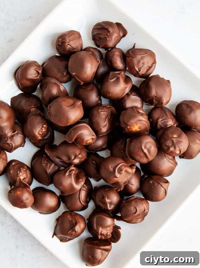 Low-Carb Peanut Butter Crunch Bars, Gluten Free, No Added Sugar 9 overhead view of white plate of chocolate-covered macadamia nuts