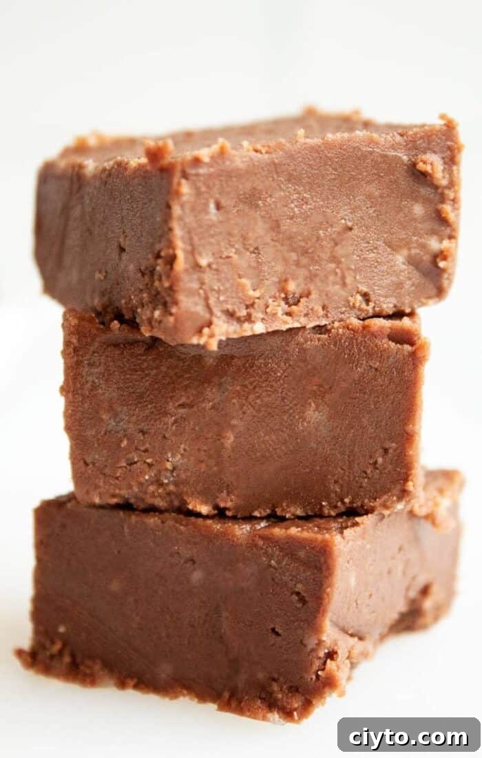 Low-Carb Peanut Butter Crunch Bars, Gluten Free, No Added Sugar 10 closeup of three pieces of keto chocolate fudge