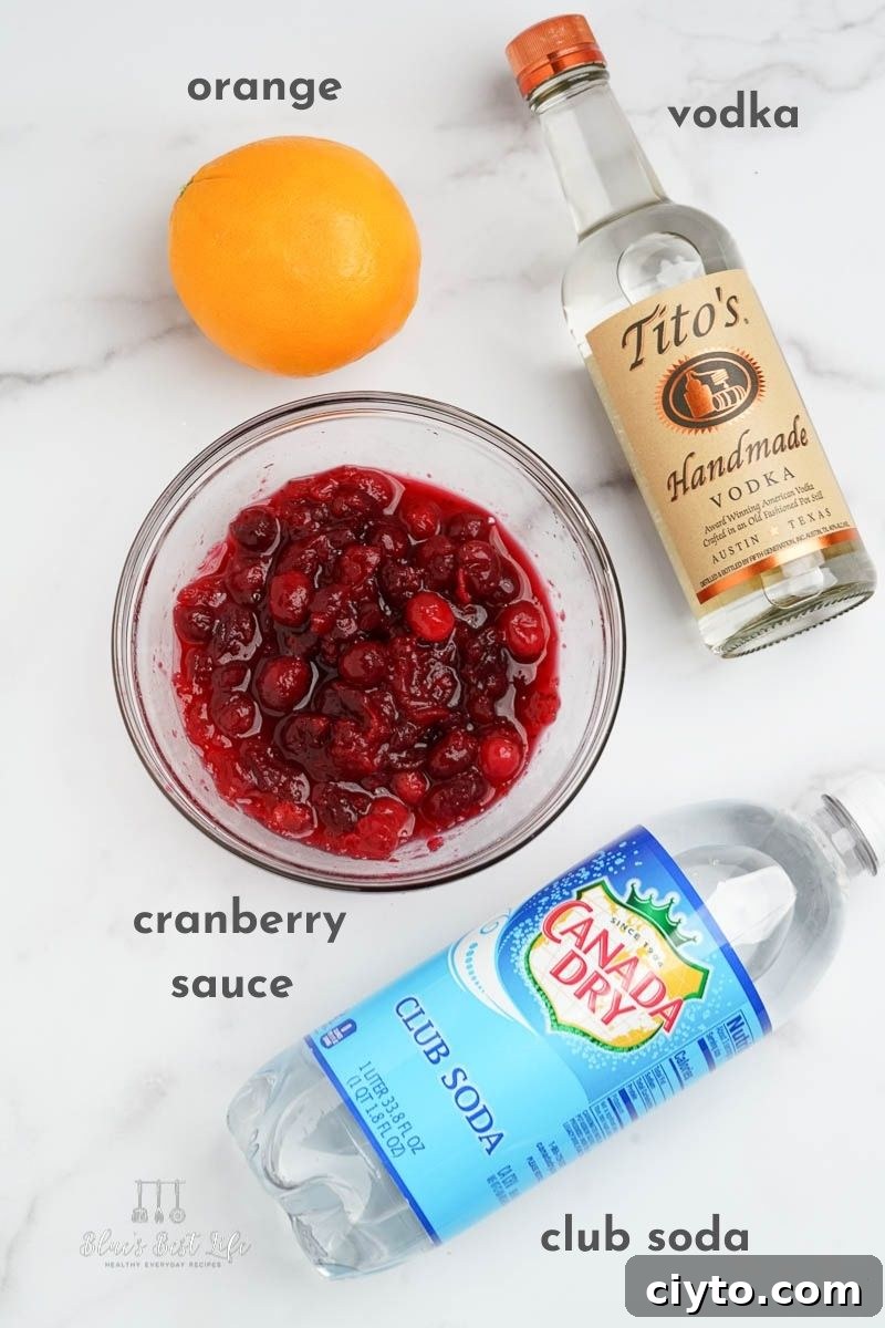 Vodka Spritzer with Homemade Cranberry Syrup 3 Ingredients for vodka cranberry spritzers are an orange, vodka, cranberry sauce and club soda