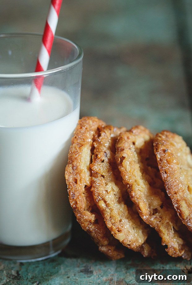 Potato Chip Lace Cookies via Bakers Royale copy