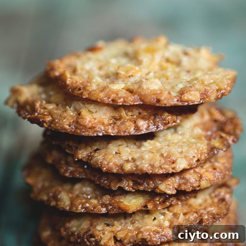 Potato Chip Lace Cookies