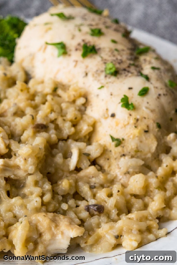 No Peek Chicken on top of rice, with broccoli on the side