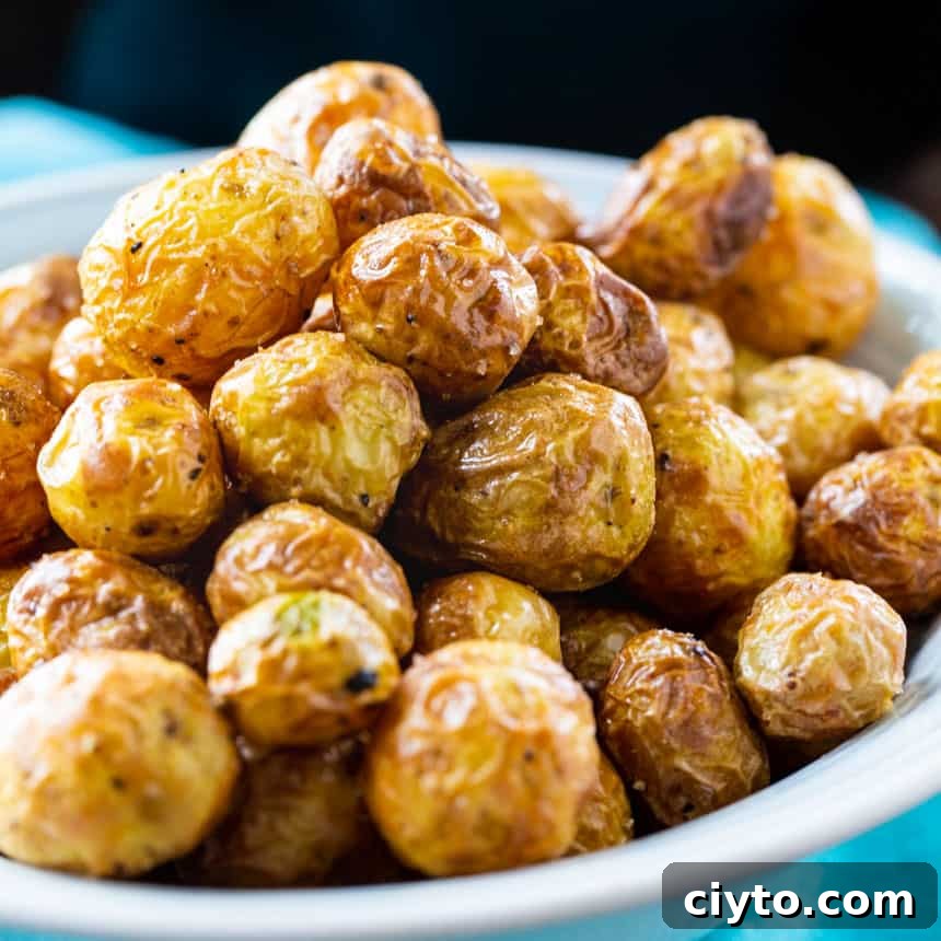 Air Fryer Baby Potatoes