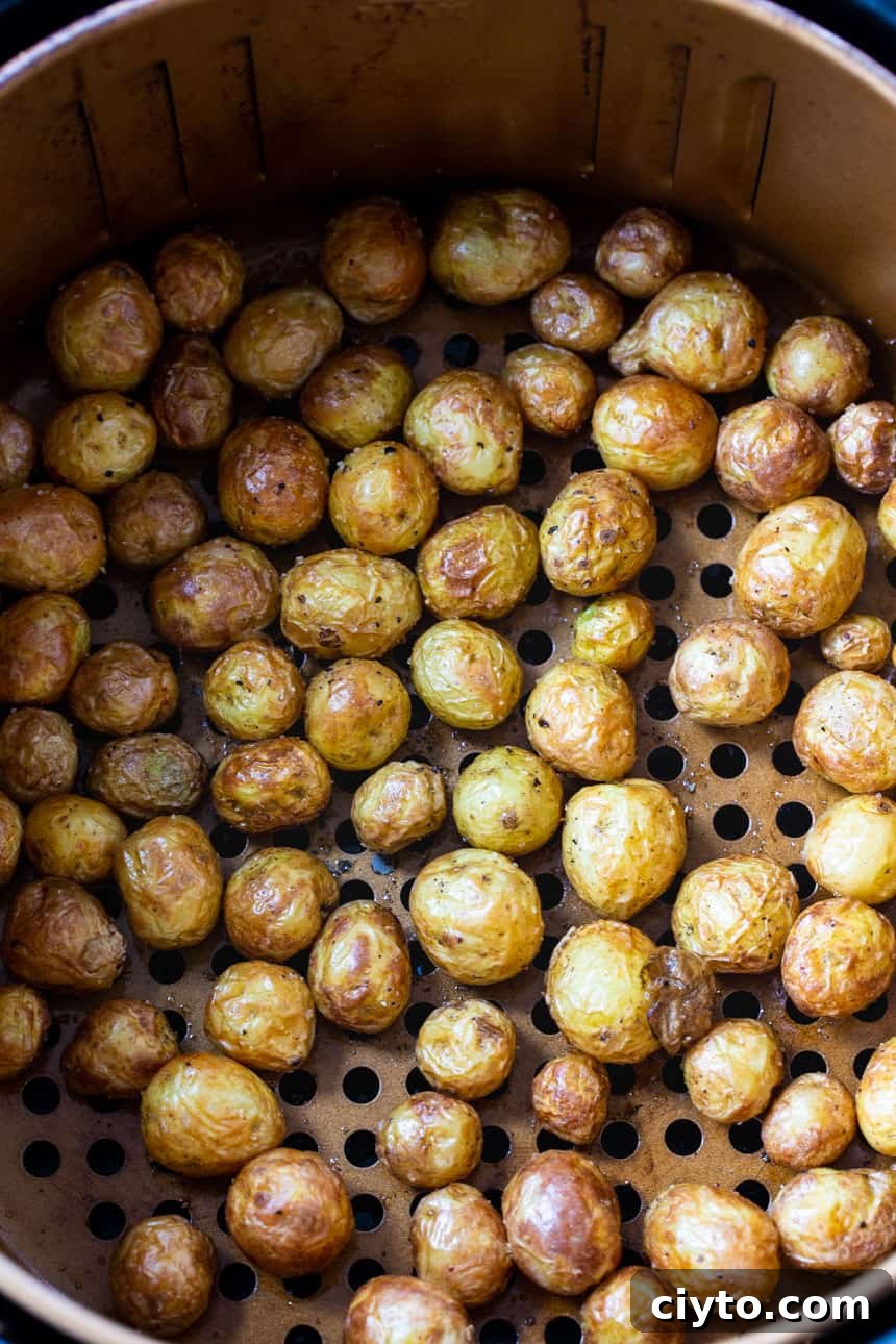 Baby potatoes in a Power Air Fryer XL