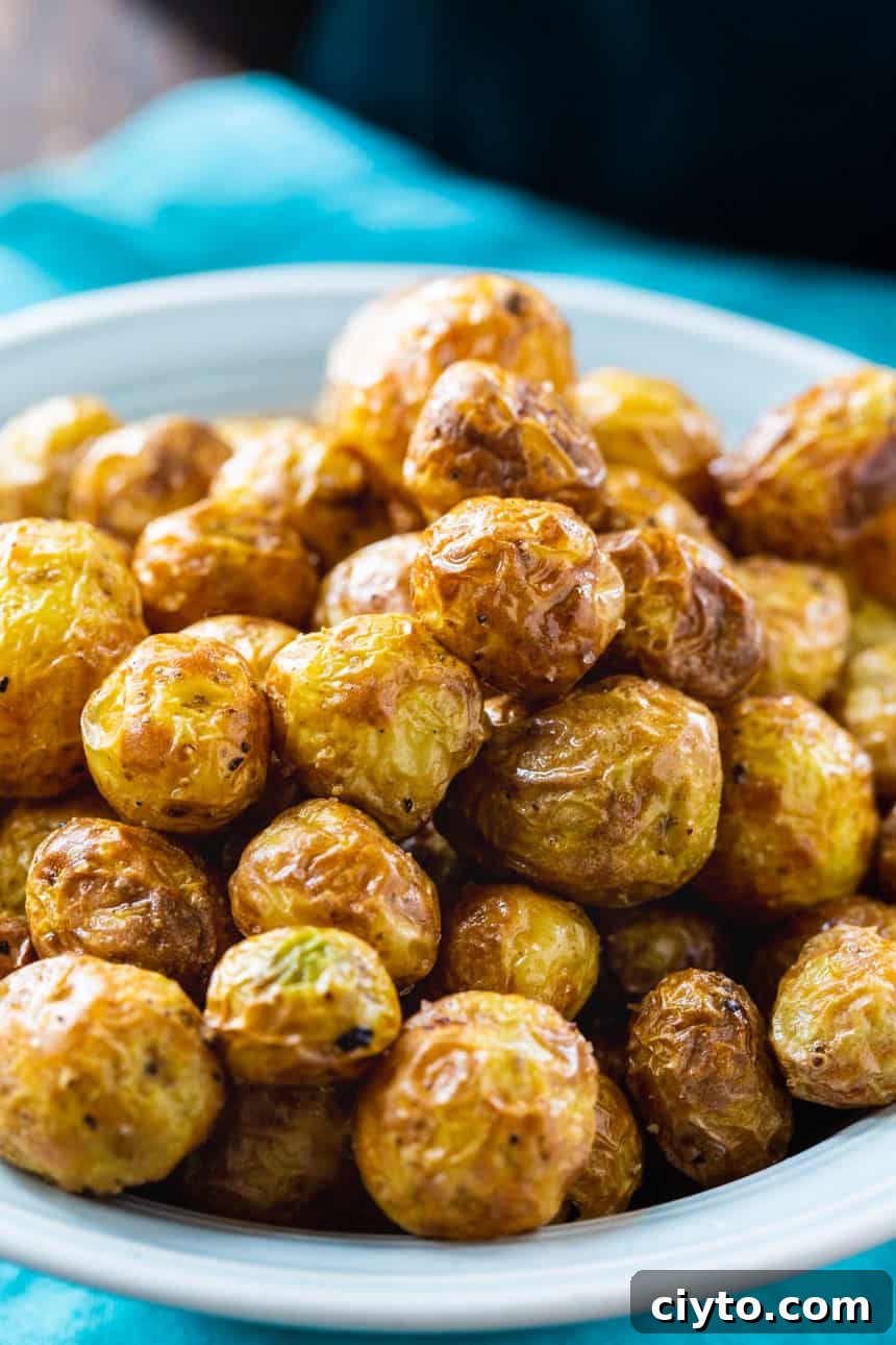 Air Fryer Baby Potatoes