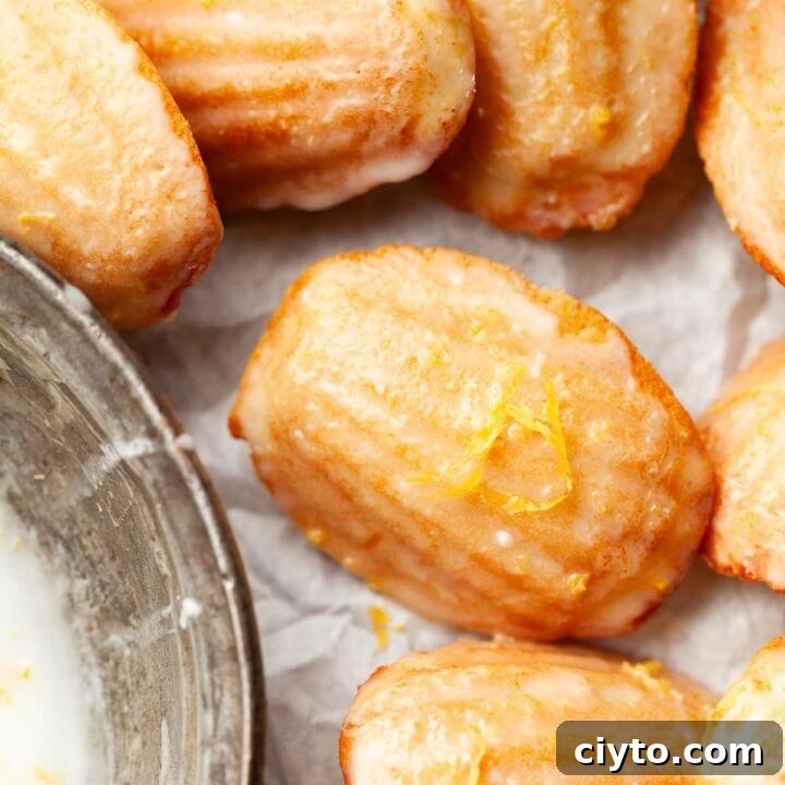 Gluten Free Lemon Madeleines