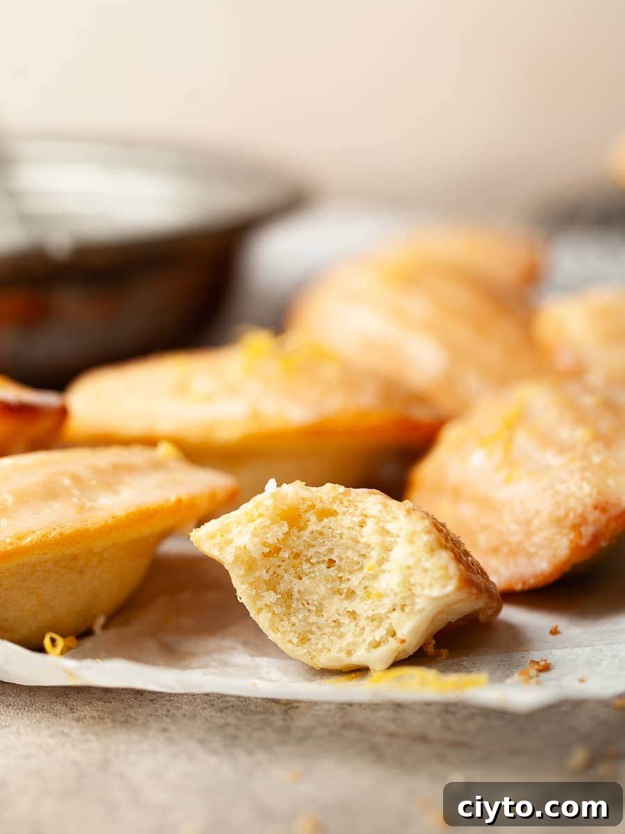 a lemon madeleine with a bite taken out