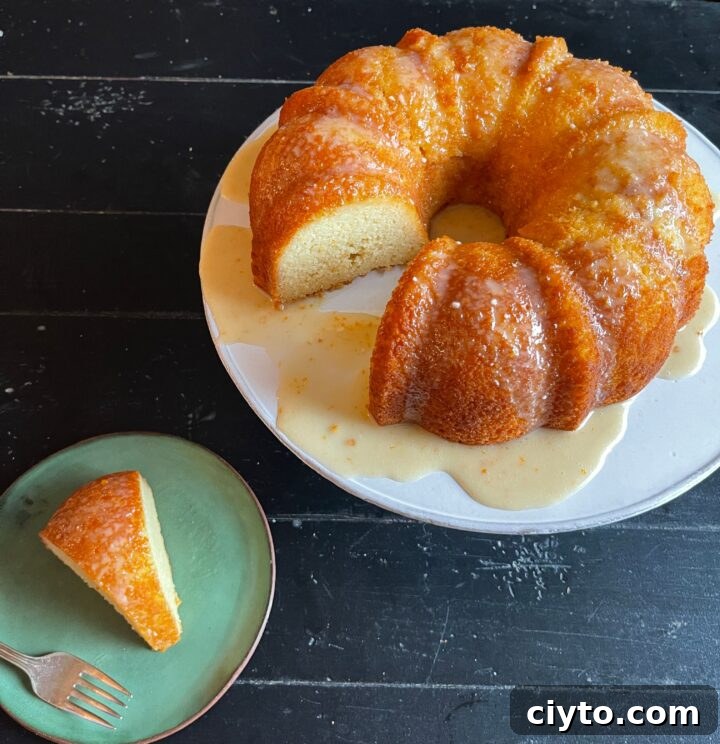 New Year's Eve Dinner Recipes and Menu Ideas 20 img 197379 19