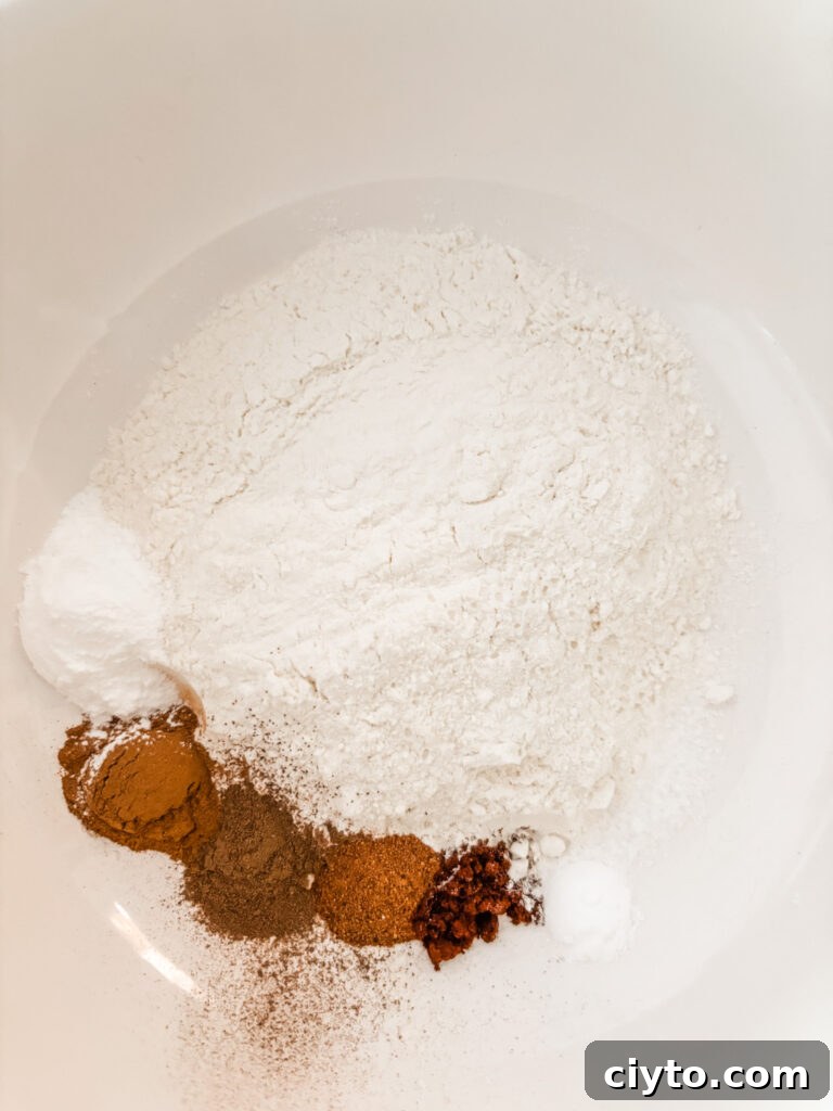 The flour and other dry ingredients in a bowl