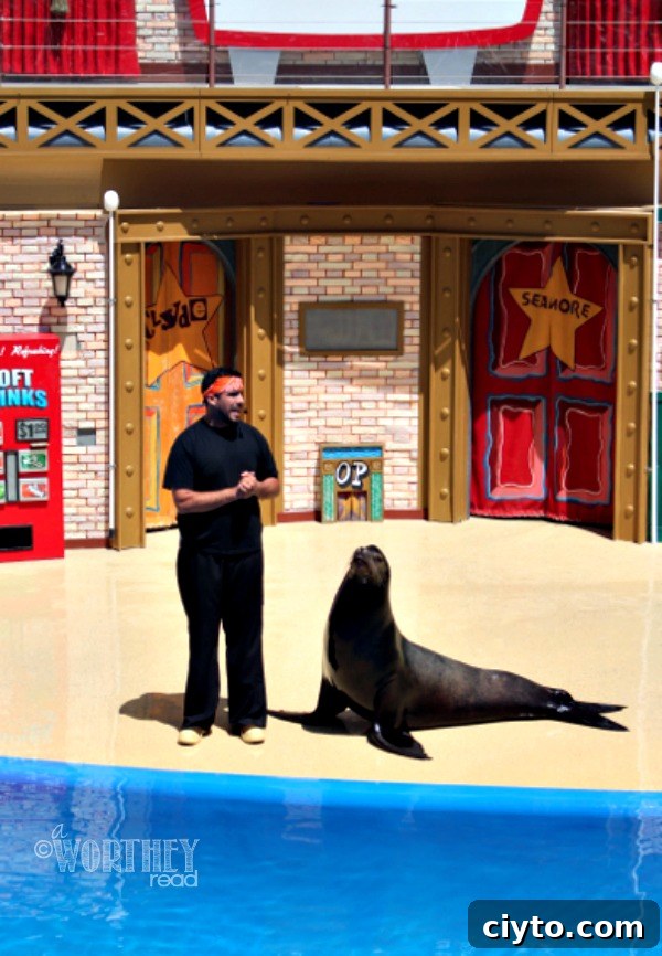 Clyde at SeaWorld
