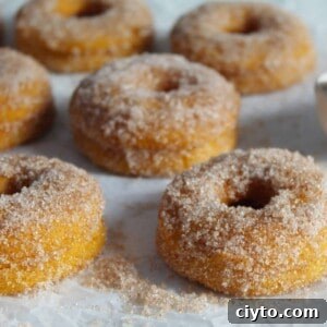 gluten free vegan pumpkin spice doughnuts