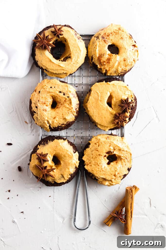 Chocolate donuts on a tray