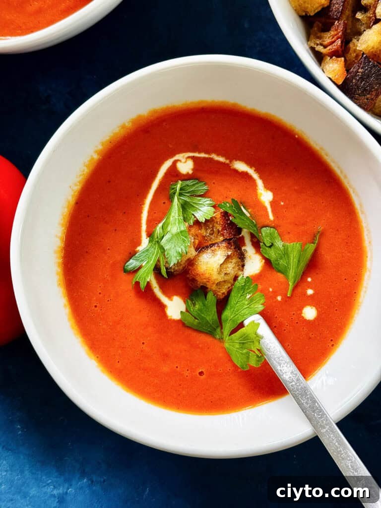 Close up picture of oven roasted tomato soup