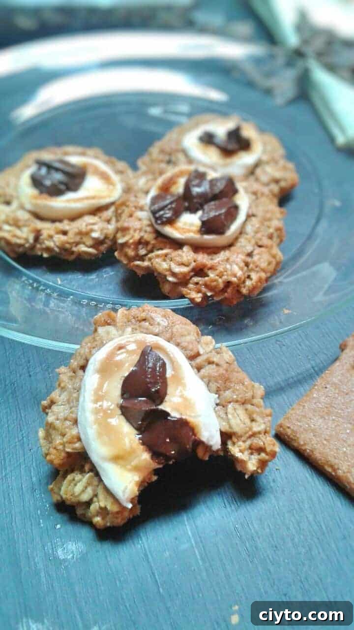 Soft vegan oatmeal cookies with marshmallow topping