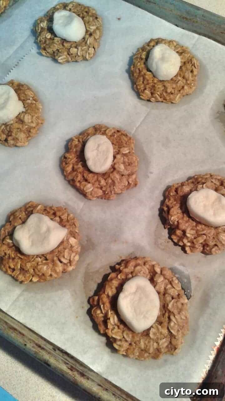 Oatmeal s'mores cookies with chocolate chunks