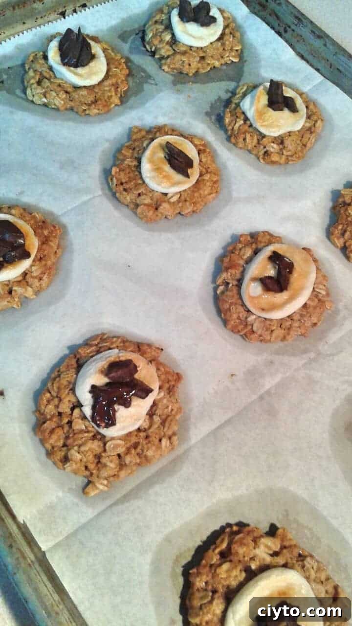 Plant based s'mores oatmeal cookies