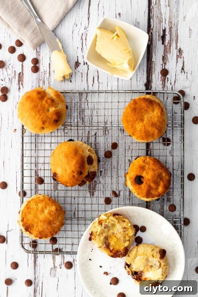 flatlay of chocolate chip scones