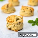 Cheese and olive scones with basil