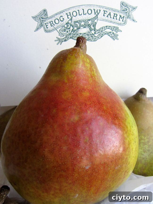close up of reddish pear in frog hollow farm box