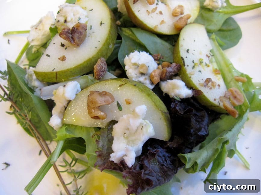 composed salad on white plate
