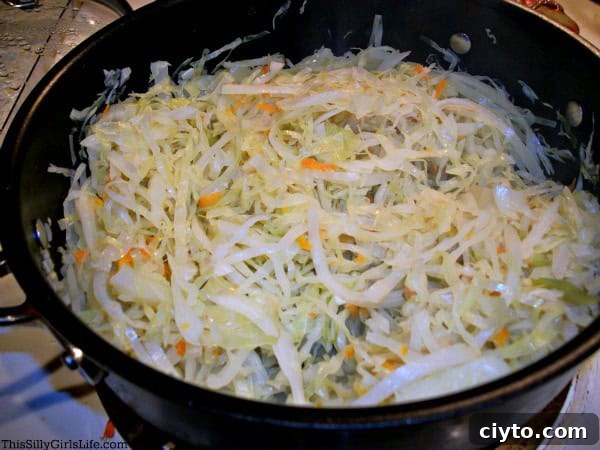 Crock Pot Pulled Pork Egg Rolls
