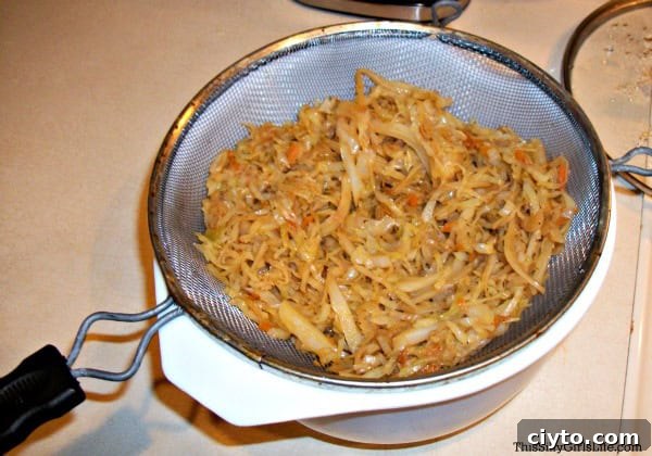 Crock Pot Pulled Pork Egg Rolls