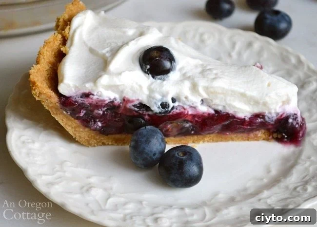 No Bake Blueberry pie piece on plate
