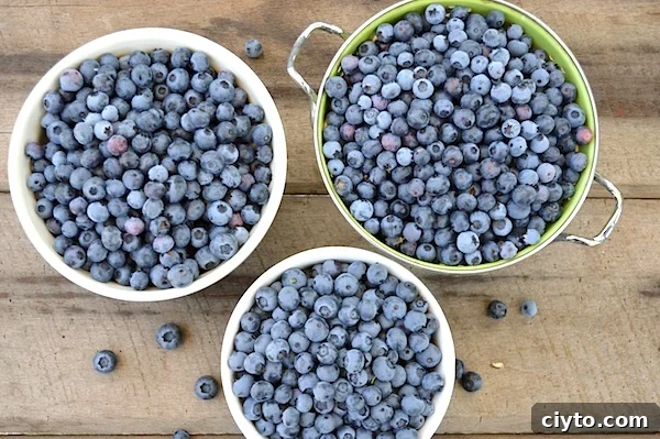 Preserving Blueberries