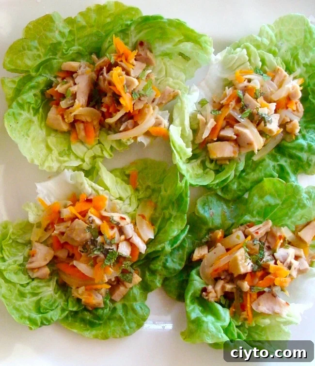 Chicken-Lime lettuce wraps