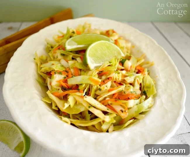 Spicy Cumin Lime Slaw close