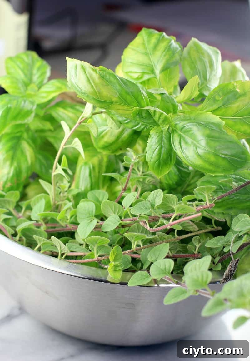fresh basil and oregano in a metal bowl