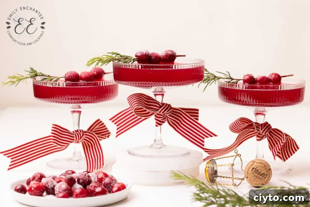 Cranberry Prosecco Cocktail Recipe 2 Cranberry Prosecco