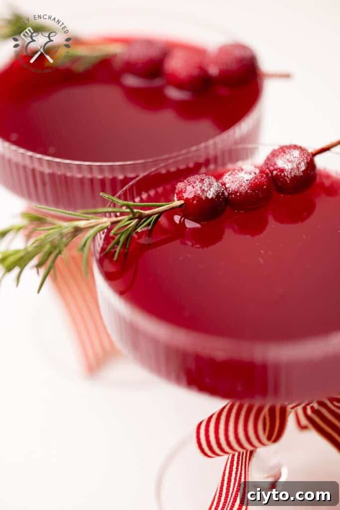 Cranberry Prosecco Cocktail Recipe 6 Cranberry Prosecco Cocktail