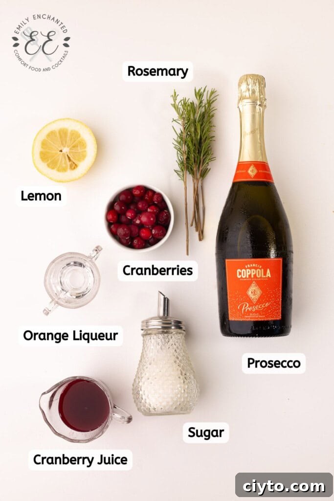 Cranberry Prosecco Cocktail Recipe 3 Cranberry Prosecco Recipe Ingredients Labeled