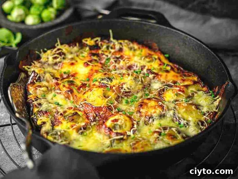 A cast iron skillet filled with a baked dish topped with melted cheese and herbs, resting on a cooling rack.