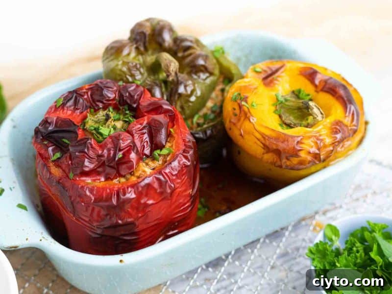 Three baked stuffed bell peppers—red, green, and yellow—are arranged in a light blue baking dish, garnished with chopped herbs.