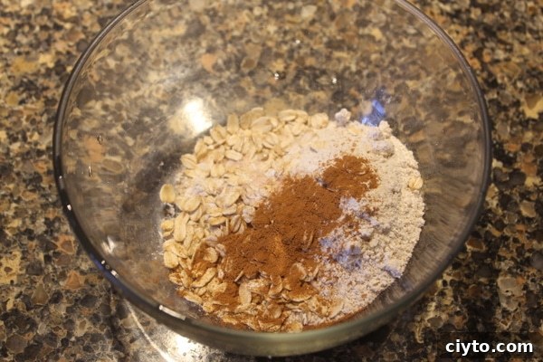Mixing dry ingredients for pumpkin cookie