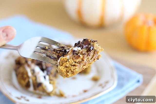 Healthy pumpkin cookie with chocolate chips
